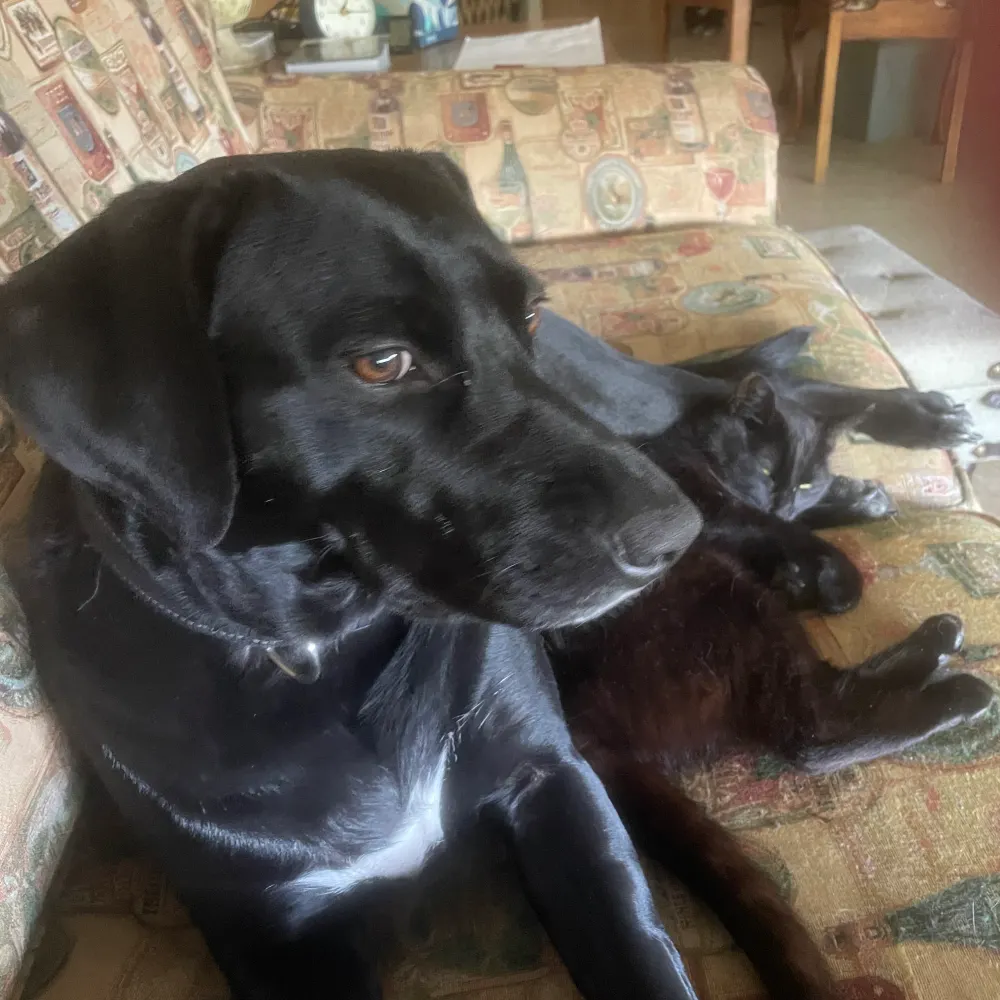 bfhaven.bsky.social's profile picture