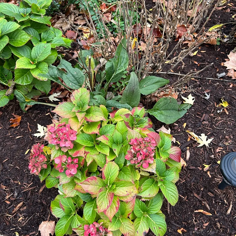 nataliekat.bsky.social's profile picture