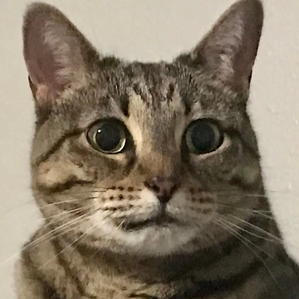 lynmars79.bsky.social's profile picture