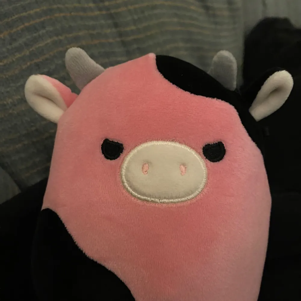 dentdelionss.bsky.social's profile picture