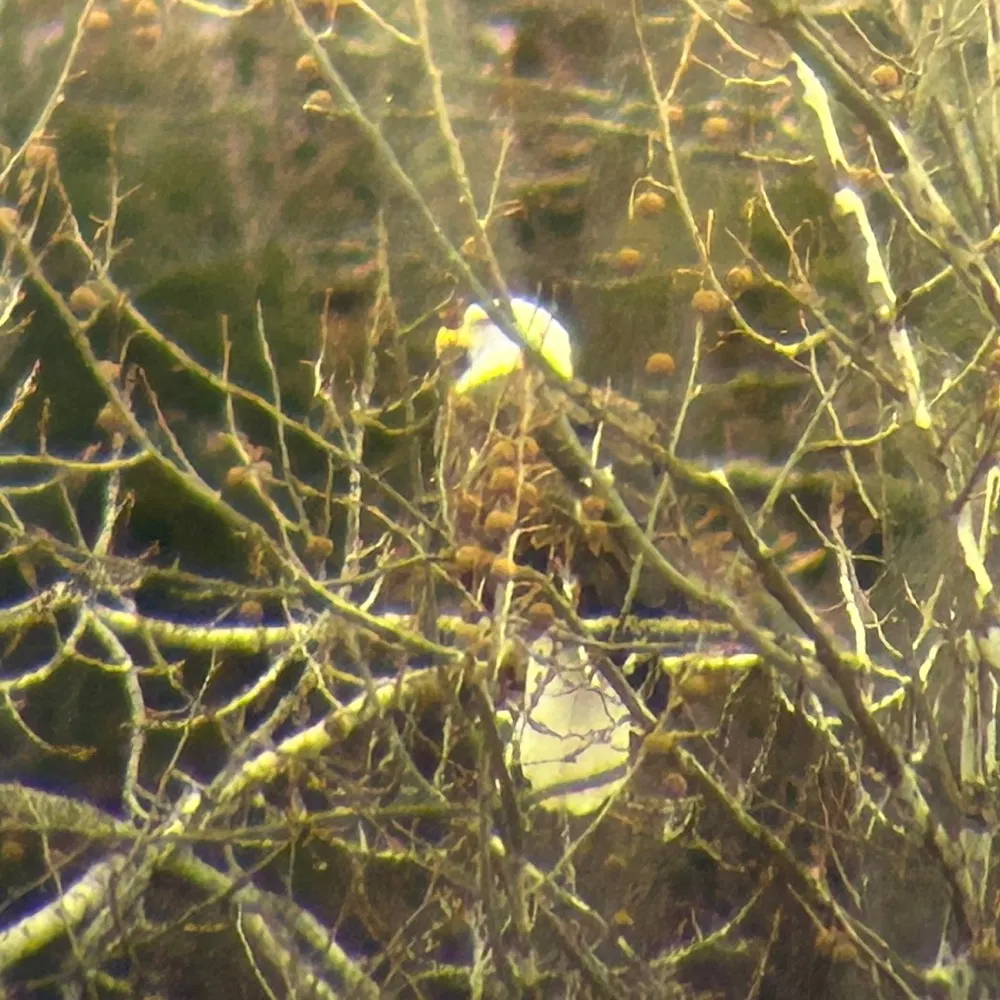 john4eagles.bsky.social's profile picture