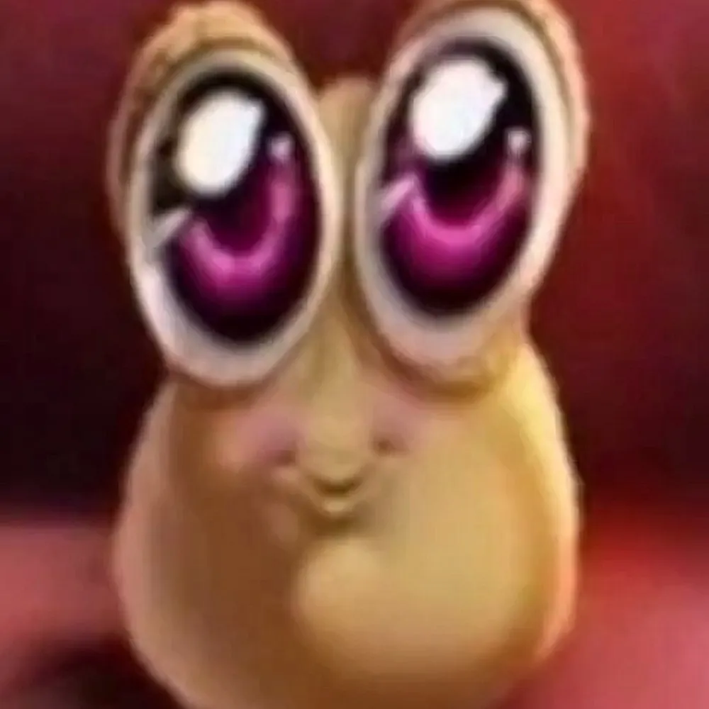 pourn.bsky.social's profile picture