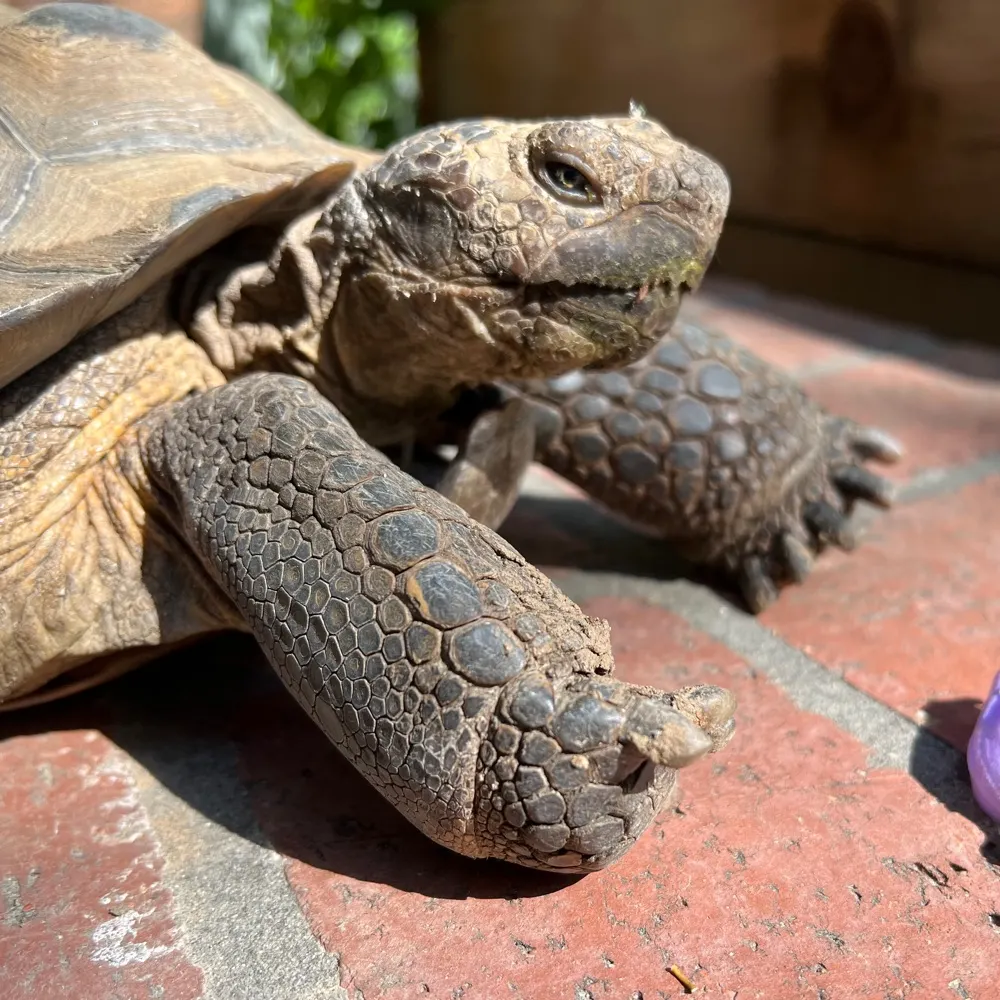 tjalamont.bsky.social's profile picture