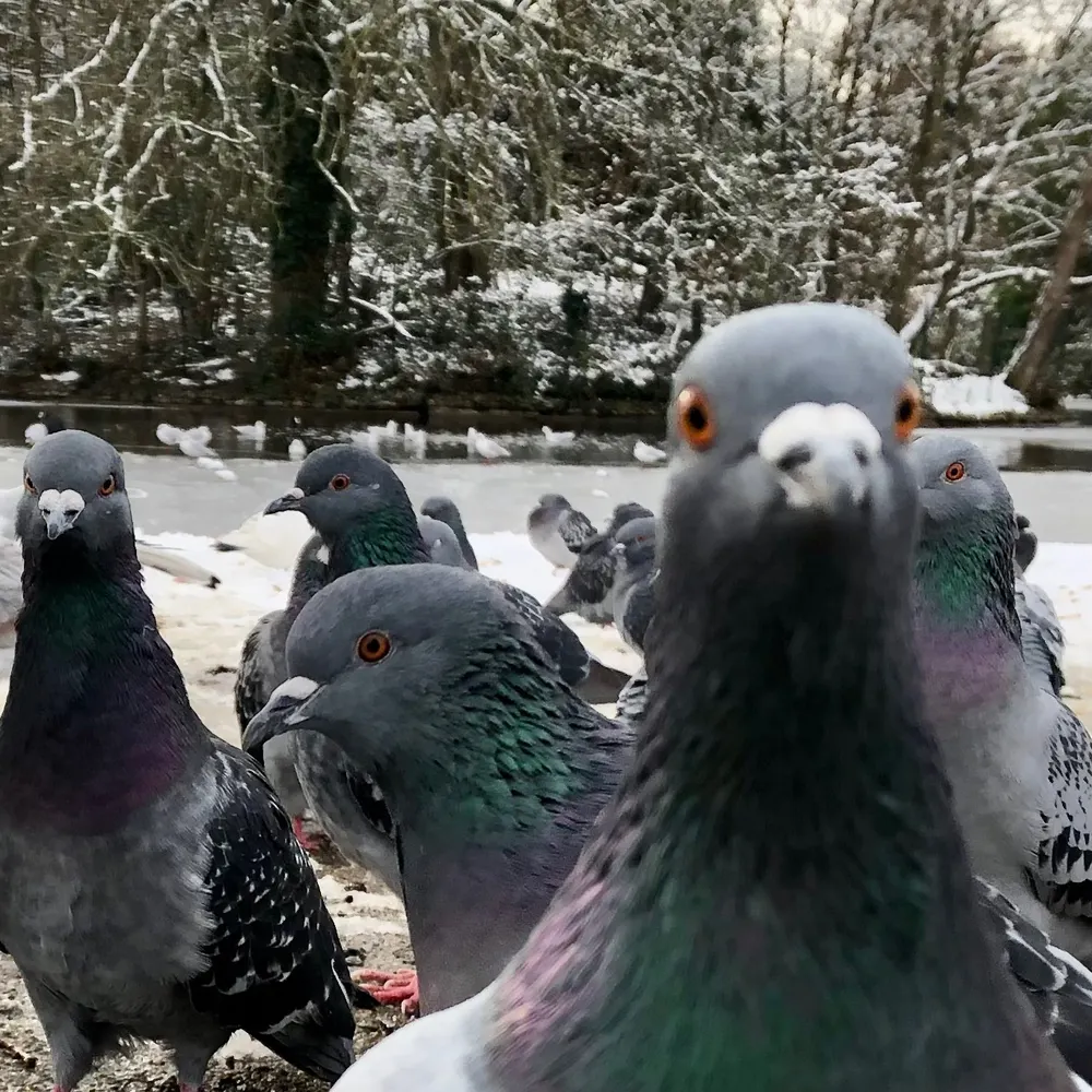 sandynightsky.bsky.social's profile picture