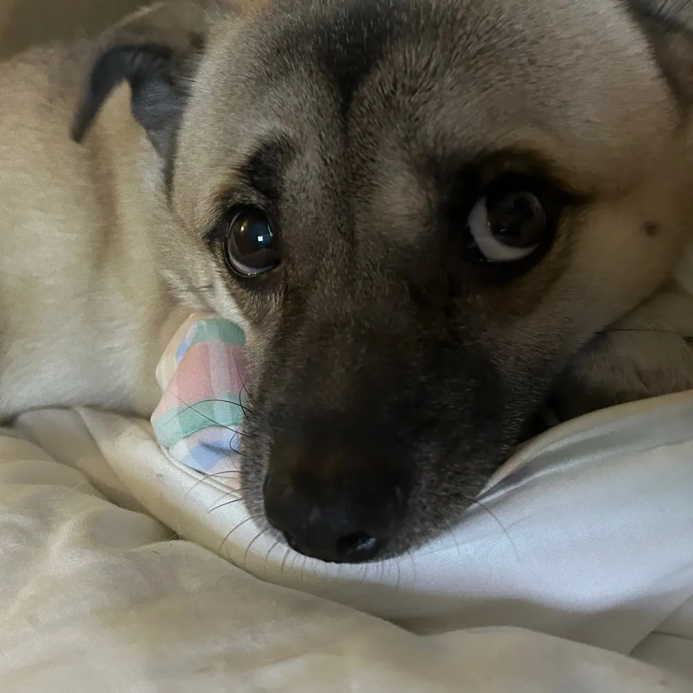 mkregular.bsky.social's profile picture