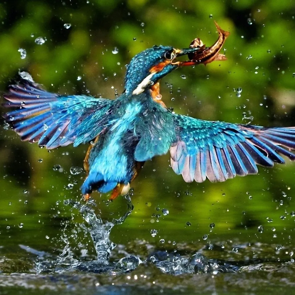 12heleen.bsky.social's profile picture