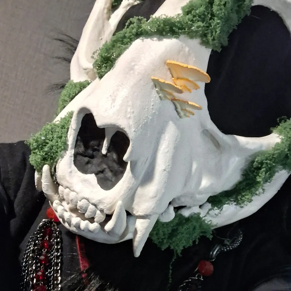 caithmatagot.bsky.social's profile picture