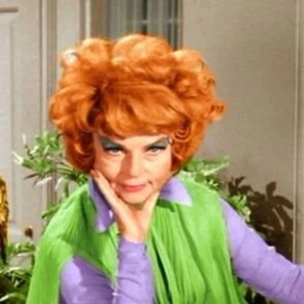 endora-bullshit.bsky.social's profile picture