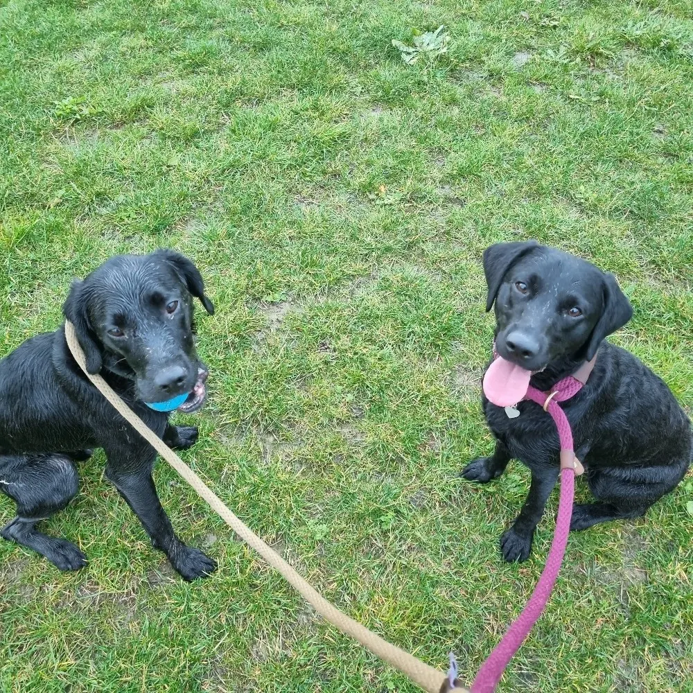 mattelliott85.bsky.social's profile picture