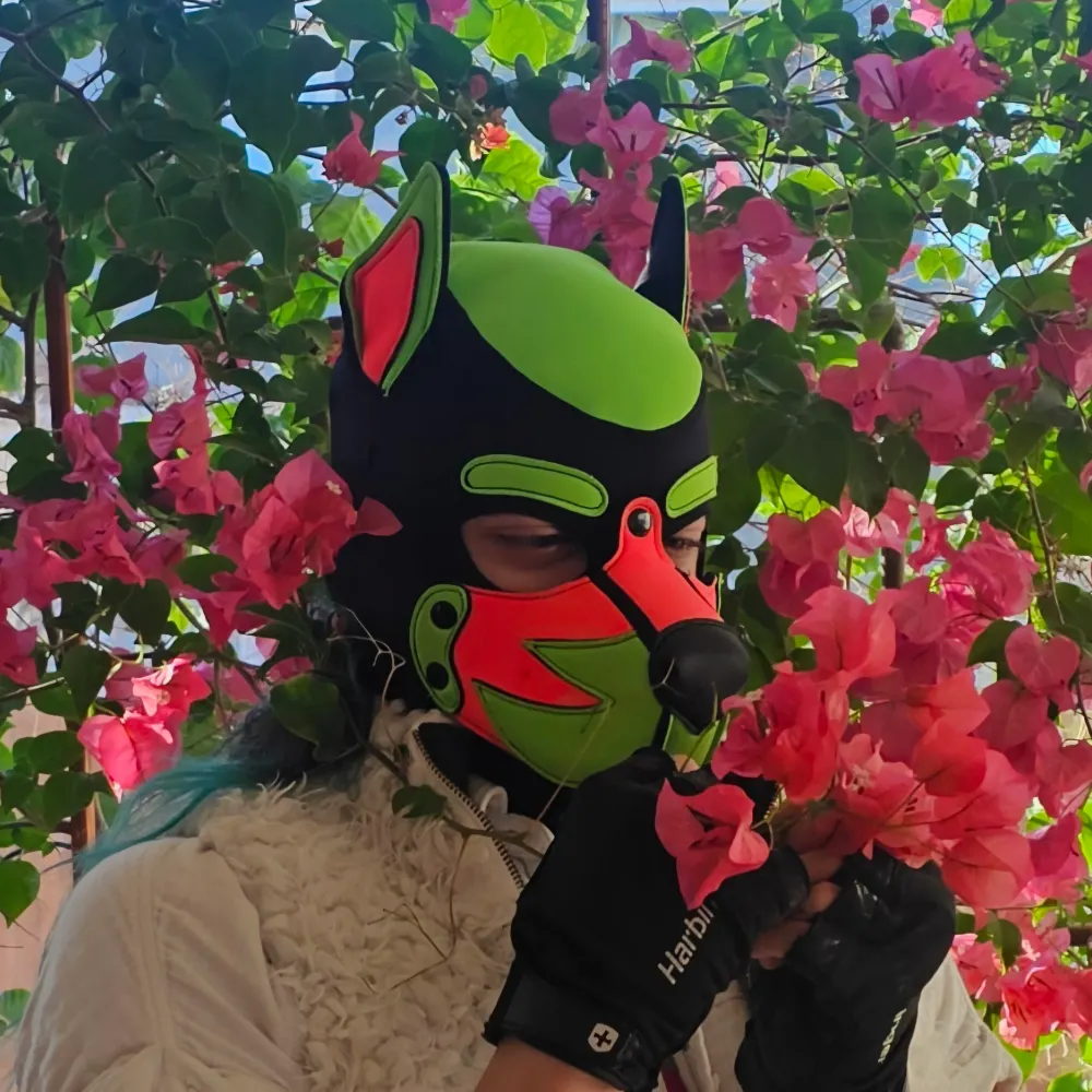 mnstrparadoxxx.bsky.social's profile picture