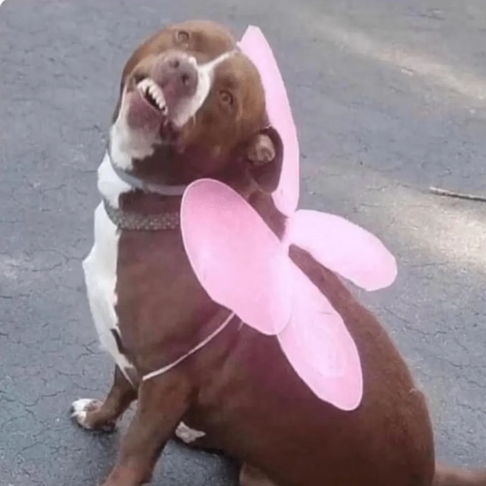 yuhmomma.bsky.social's profile picture