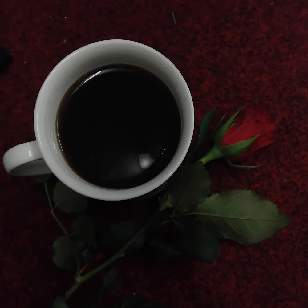 atlasantics.bsky.social's profile picture