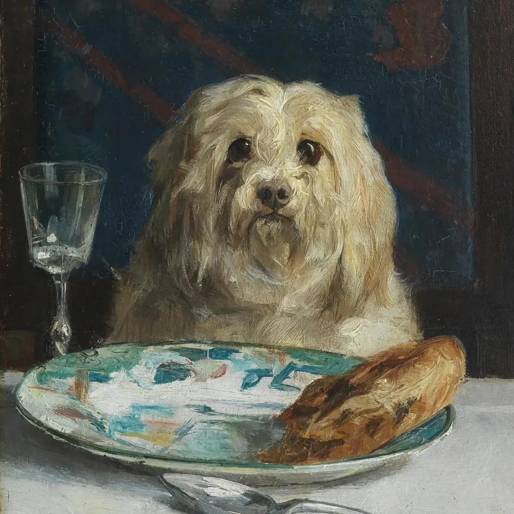 lostinapapercup.bsky.social's profile picture