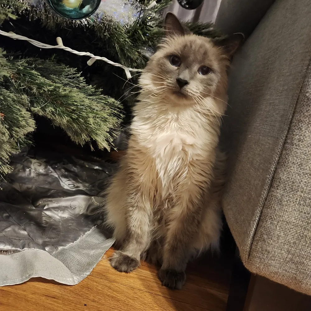 coley2839.bsky.social's profile picture