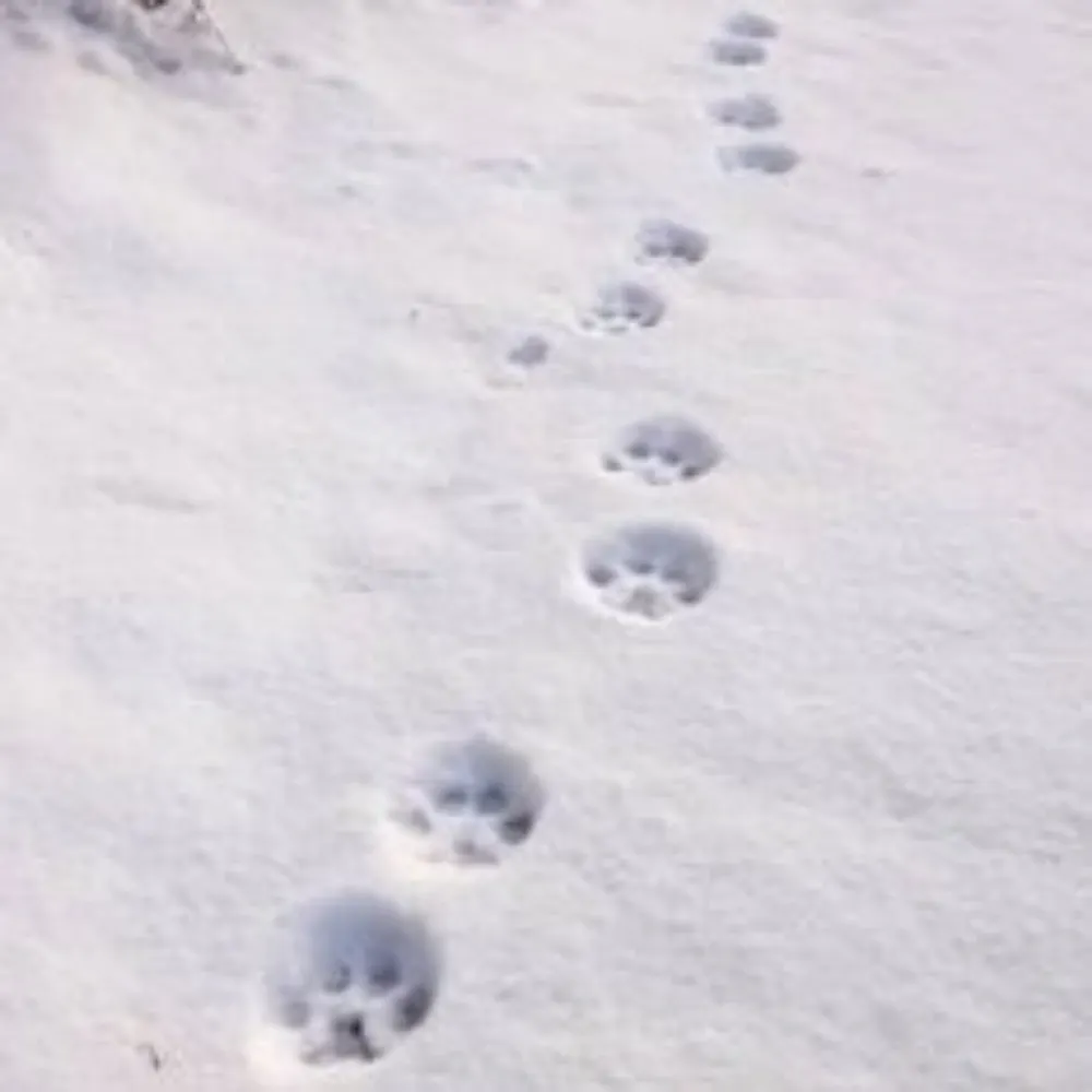 mylesofprogress.bsky.social's profile picture