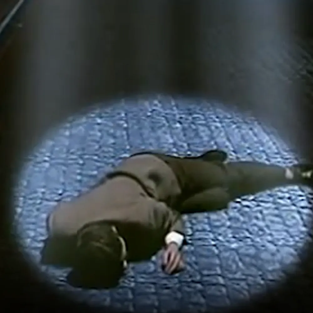 dartzap.bsky.social's profile picture