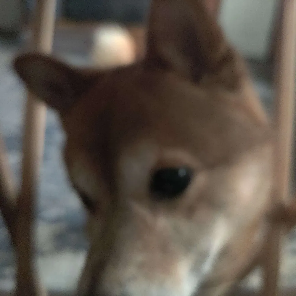 ravenwing19.bsky.social's profile picture