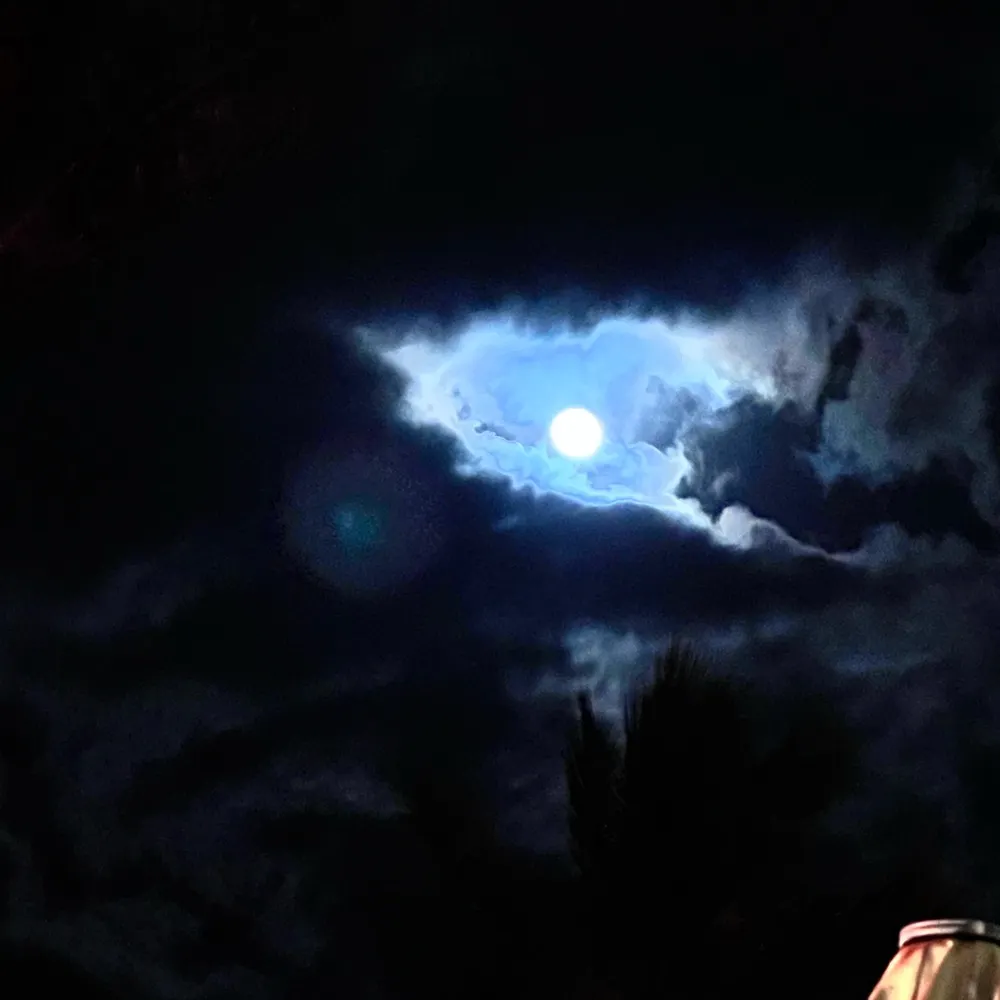 msterrys.bsky.social's profile picture