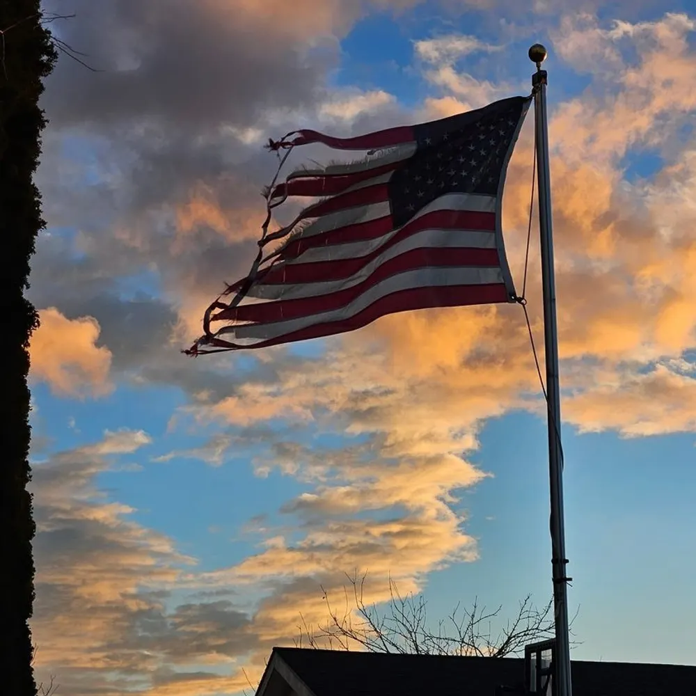 finalfrancho.bsky.social's profile picture