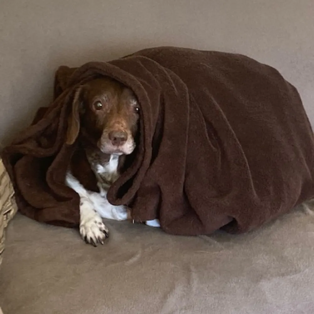 karmasdad.bsky.social's profile picture