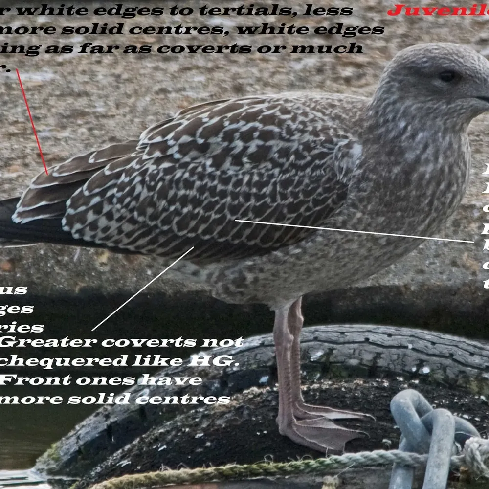 mick666.bsky.social's profile picture