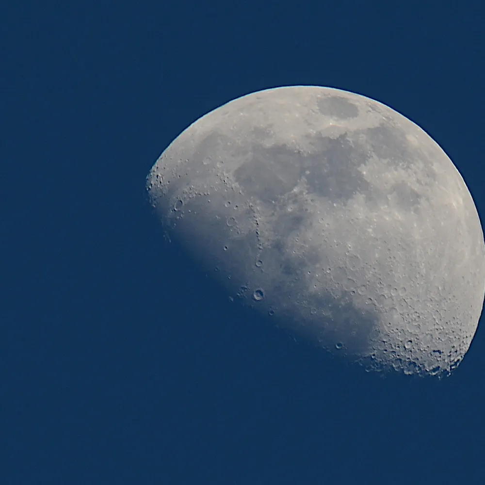 hankbxx.bsky.social's profile picture