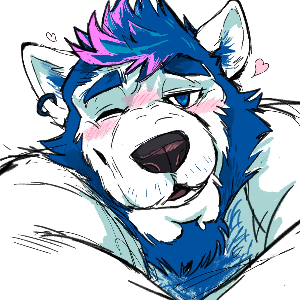 kingtakahashi.bsky.social's profile picture