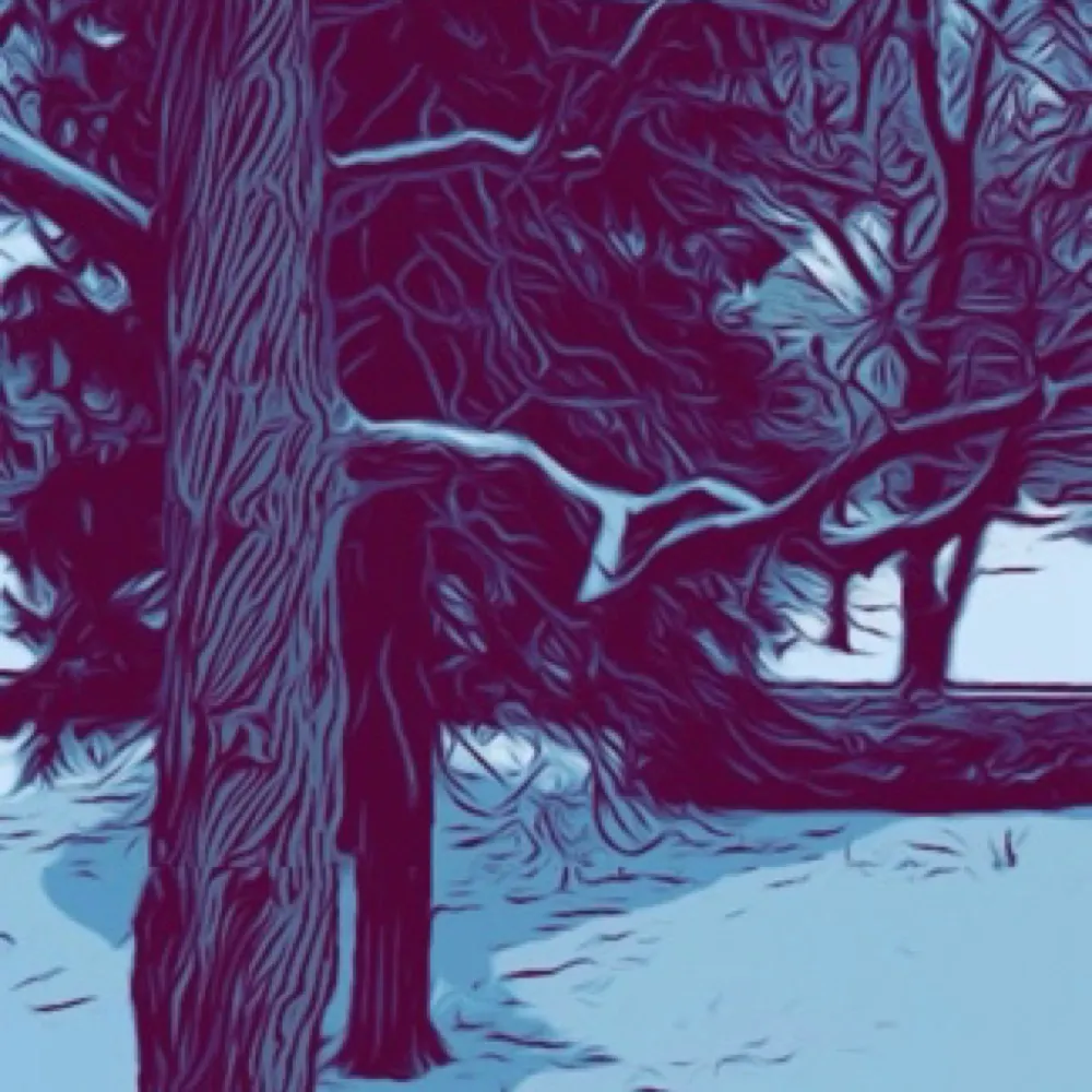 mjh878.bsky.social's profile picture