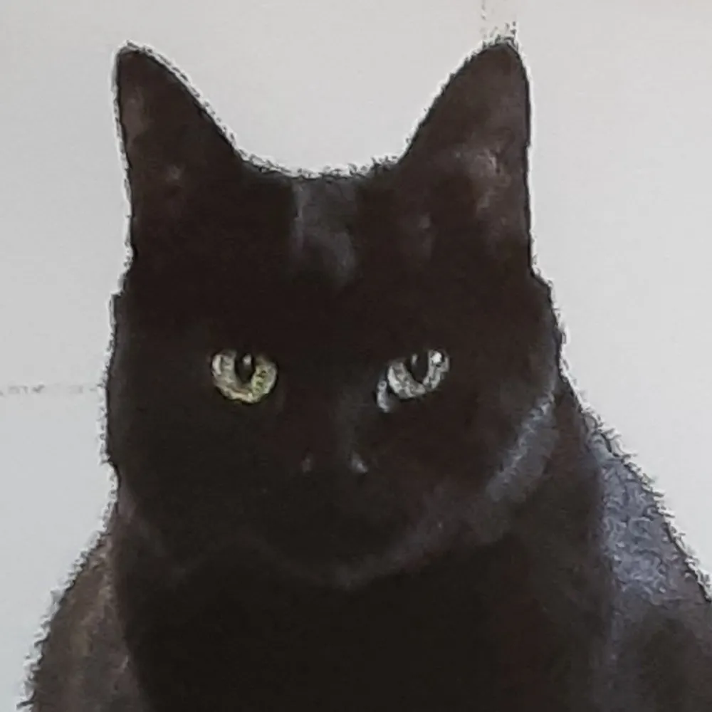 mererain.bsky.social's profile picture