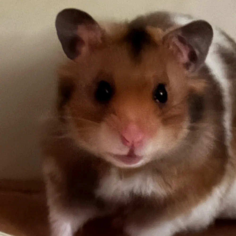 niallb-1966.bsky.social's profile picture