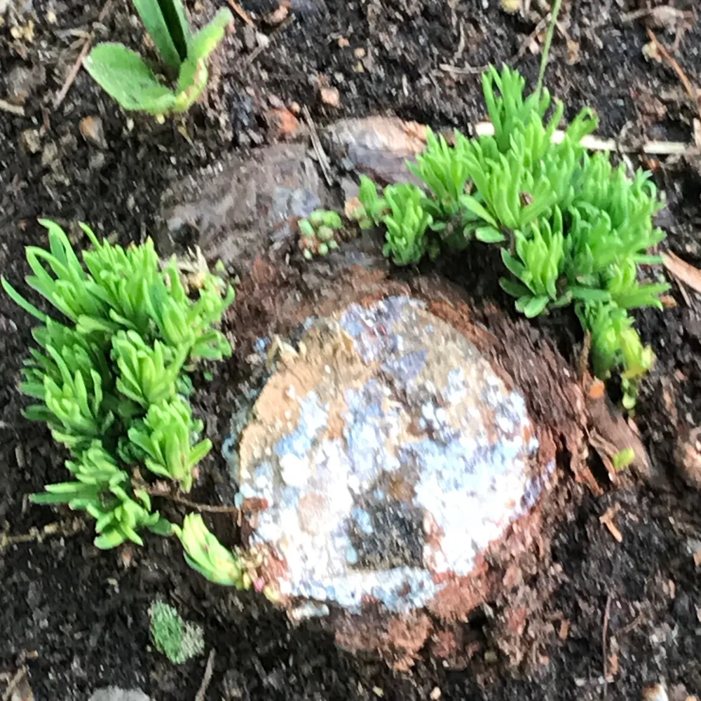 kakotechnia.bsky.social's profile picture