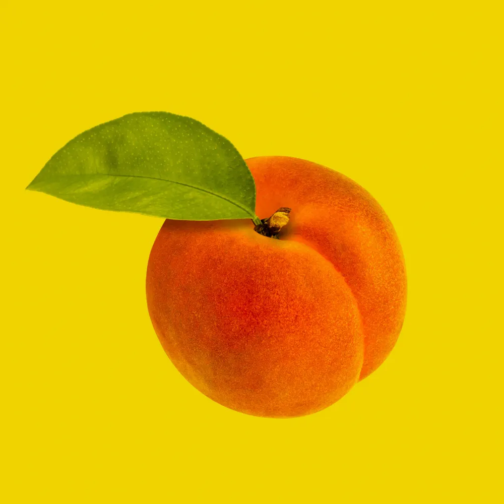 milkthistle.eurosky.social's profile picture