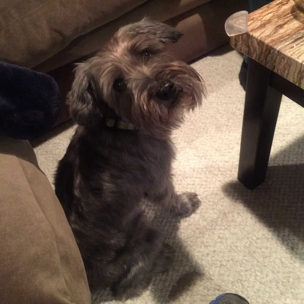 erbmike.bsky.social's profile picture