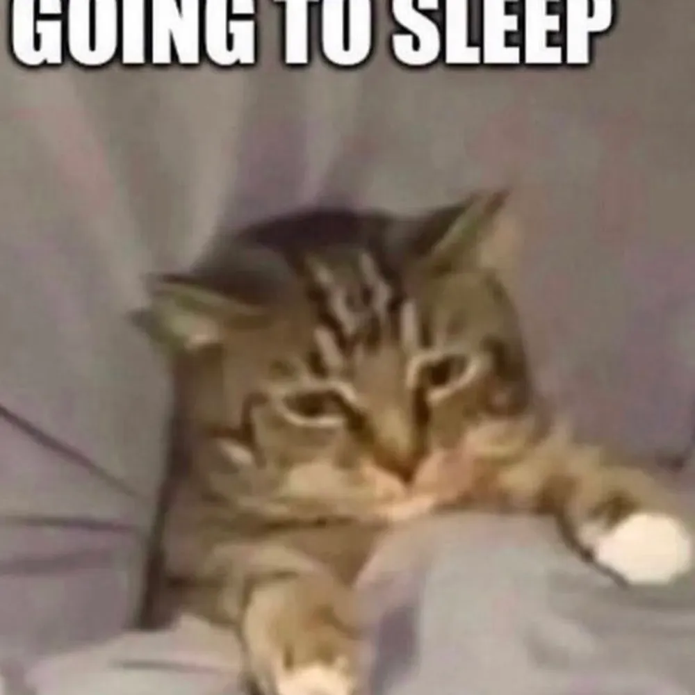 ikuriteru.bsky.social's profile picture