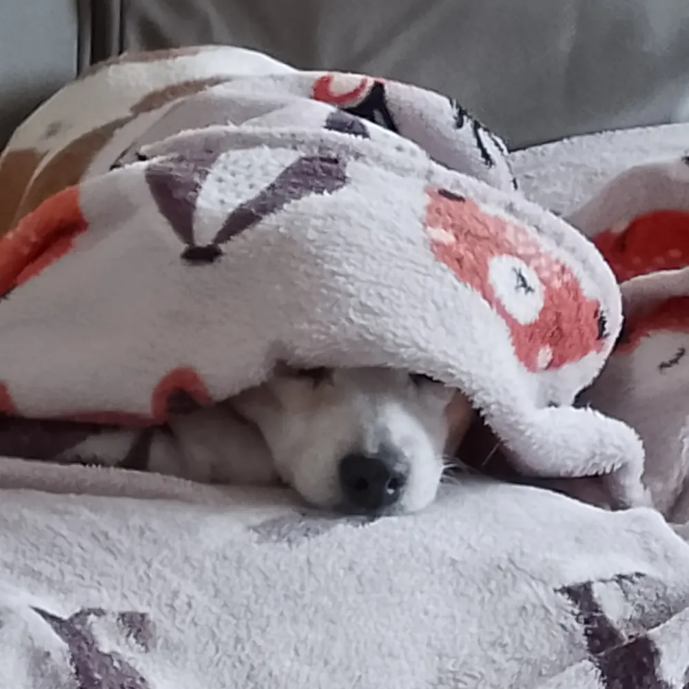 nancy1910.bsky.social's profile picture