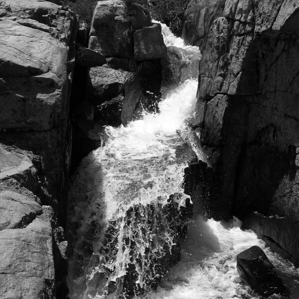 ergolarry.bsky.social's profile picture