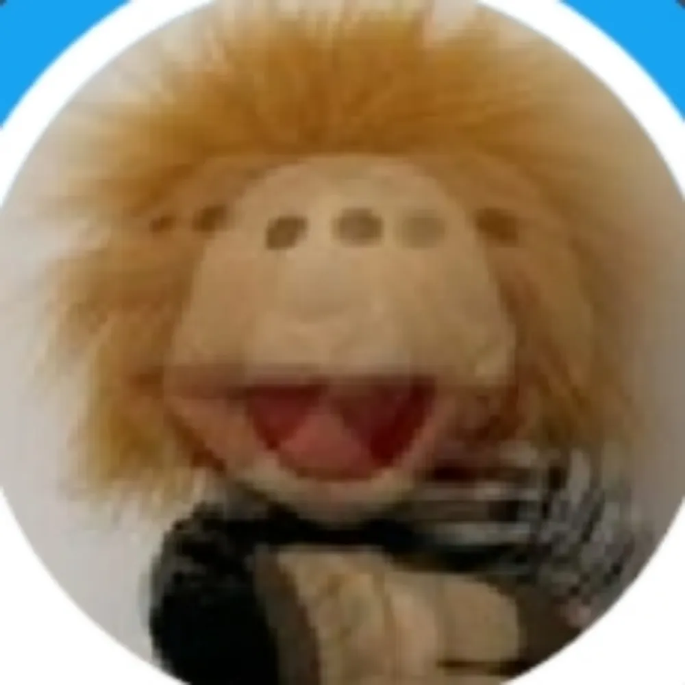 leidernein.bsky.social's profile picture