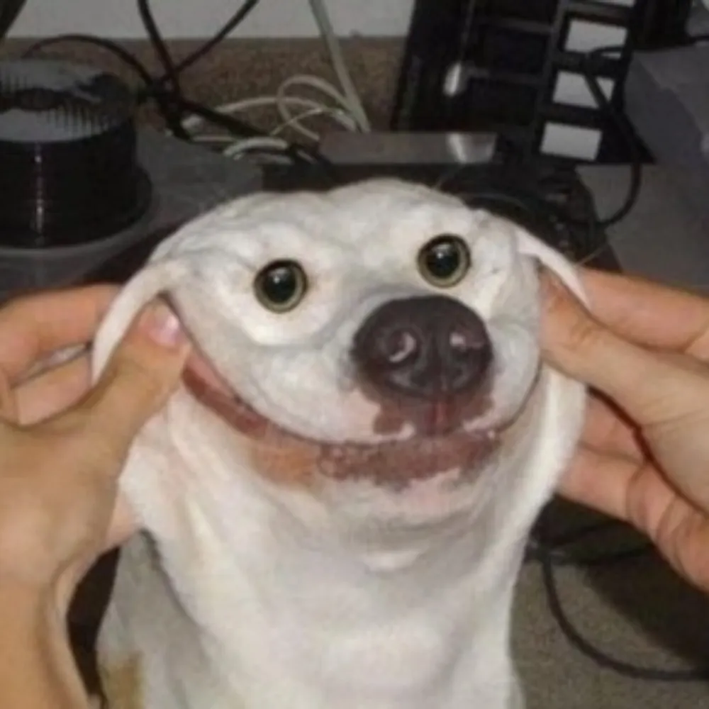 balljihad.bsky.social's profile picture