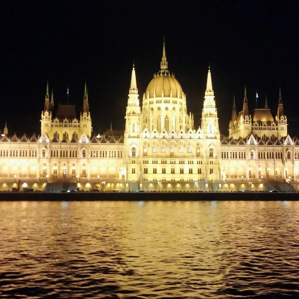 nhdisneyfan1.bsky.social's profile picture