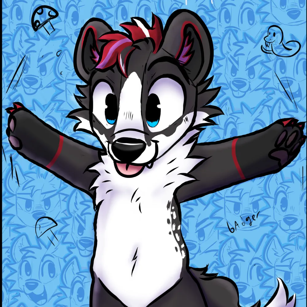 banebadgerboi.bsky.social's profile picture