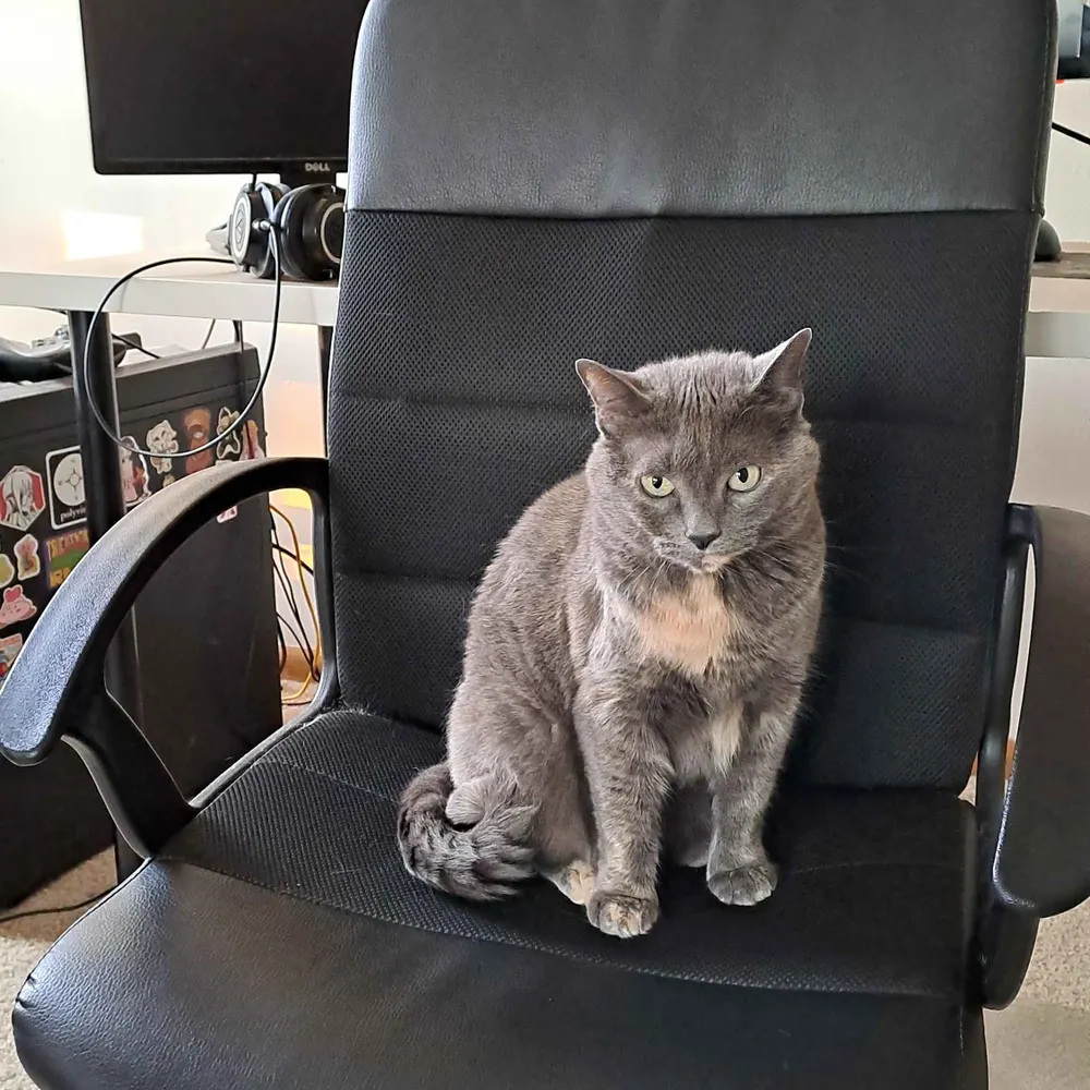 zubrungus.bsky.social's profile picture