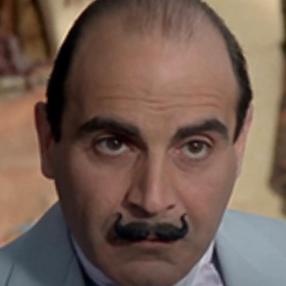 nicolettaacs.bsky.social's profile picture