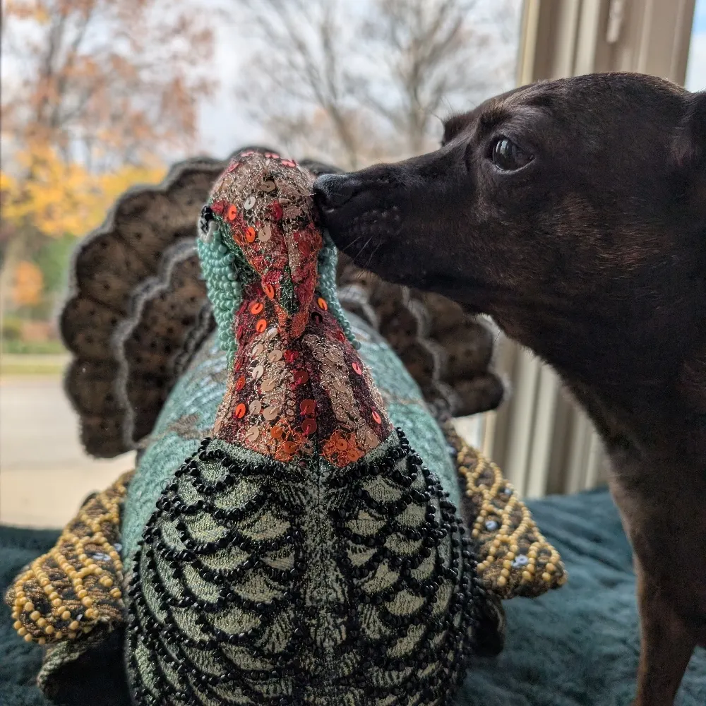 bintrepid.bsky.social's profile picture