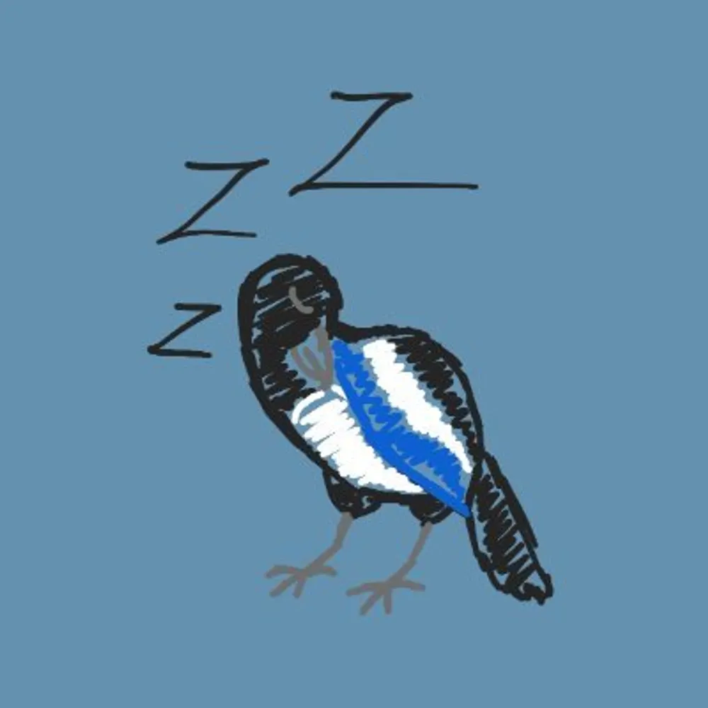 tiredmagpie.bsky.social's profile picture