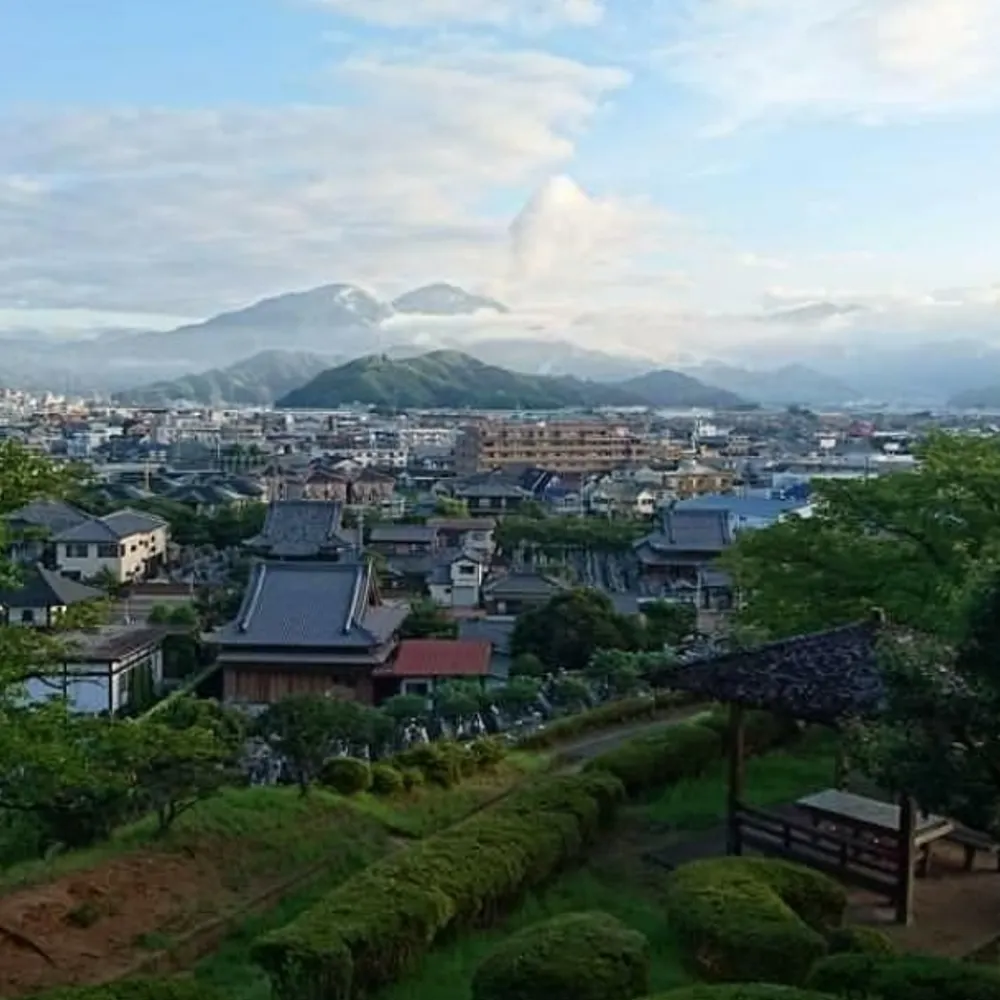 pitak.bsky.social's profile picture