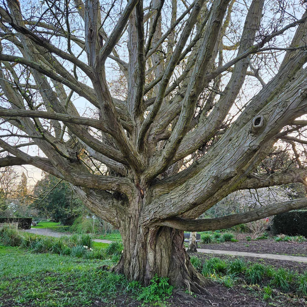 harrykrishna.bsky.social's profile picture