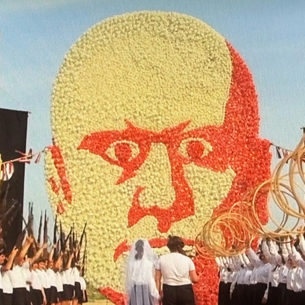 tkniest.bsky.social's profile picture