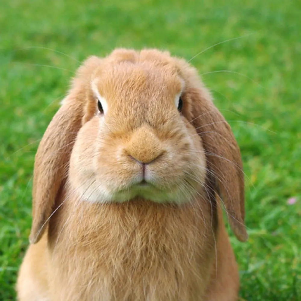 dtf1947.bsky.social's profile picture