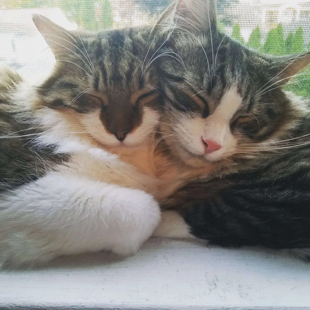 jeanie52.bsky.social's profile picture