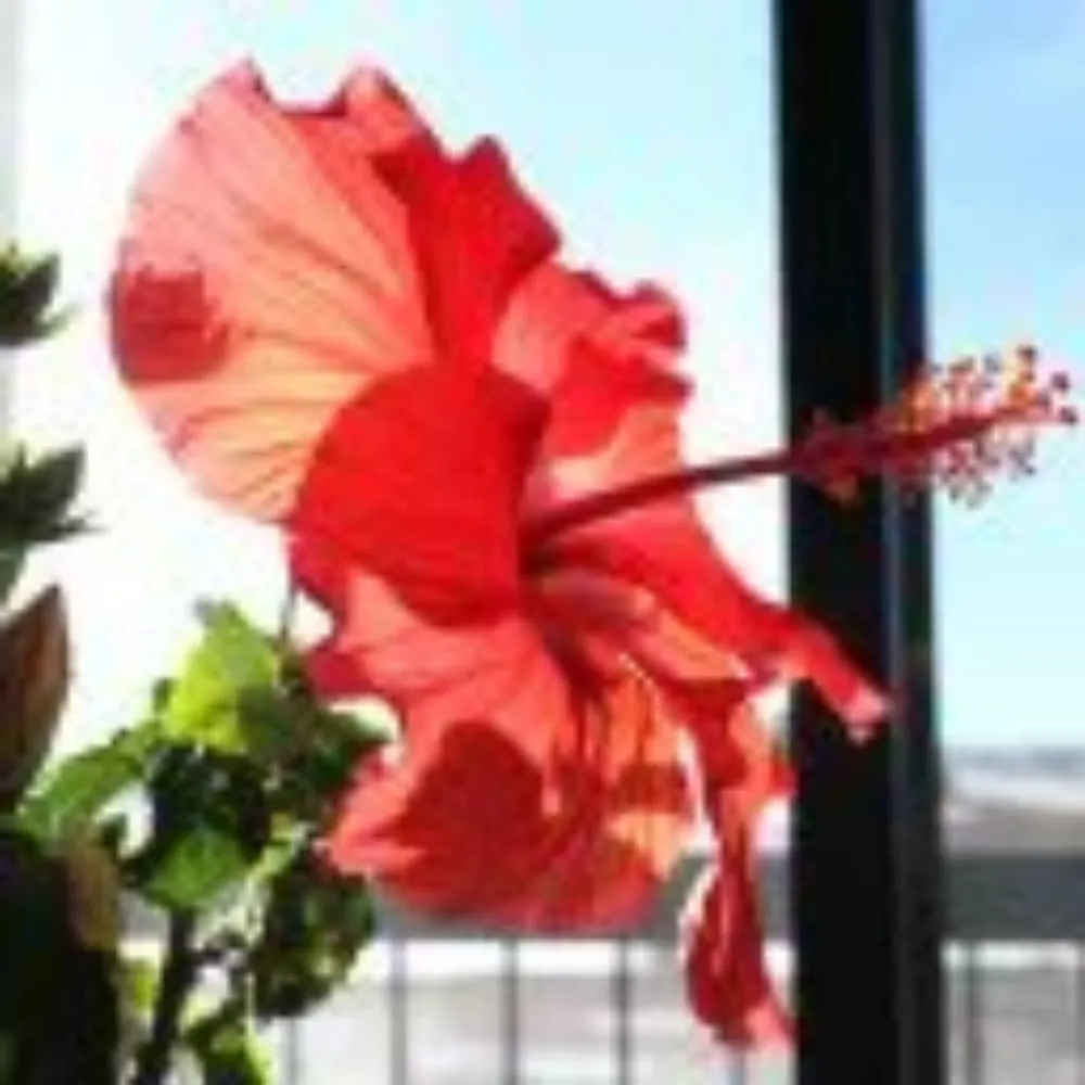 rileytodd.ca's profile picture